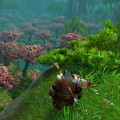 How to Deal with Harassment and Bullying in Massive Multiplayer Online Games