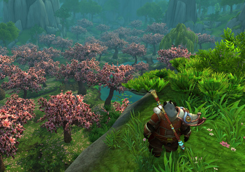How to Deal with Harassment and Bullying in Massive Multiplayer Online Games